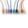 Gembird Utp 50 cm CAT5 Network Cable