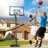 Lifetime UV 240-305 Cm 100 Resistent Basketbal Mand Instelbaar Hoogte 240-305 Cm Gerenoveerd