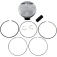 Vertex piston 24270A stempelkit