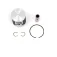 Vertex piston 24352A stempelkit