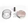 Vertex piston 24368B stempelkit