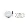 Vertex piston 24387A stempelkit