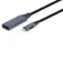 Gembird AUSB3CDPF01 USB-C-DisplayPort-sovitin