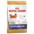 Royal canin Chihuahua Erwachsene 500 G Hund Essen