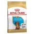 Royal canin Hvalpe Ris Grøntsag Dachshund 1.5kg Hund Mad
