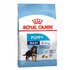 Royal canin Comida Perro Maxi Cachorro 1kg