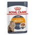 Royal Canin Intens Klumper I Sauce Beauty 85g Våd KAT Mad 12 Enheder