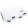 Ragot Horizontal lure box