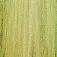 Baetis Accent Pearl Flashabou