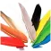 Baetis Duck Quill Feather