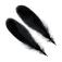 Baetis Goose Shoulders Feather