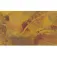 Baetis Hungarian Part Feather