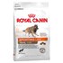 Royal canin Koiran Ruoka Sporting Life Agility 4300 15kg