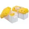 Prosea Big Battery Box