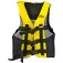 Prosea Hugormevest