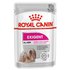 Royal canin Exigent Pastete 85g Nass Hund Essen 12 Einheiten