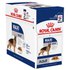 Royal canin Maxi Adult 140g Wet Dog Food 10 Units