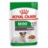 Royal canin Mini Ageing 12+ 85g Nasses Hundefutter 12 Einheiten