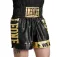 Leone1947 DNA Kick boxing&Muay Thai shorts