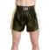 Leone1947 Training Thaibox Trunks