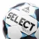 Select Brillant V21 voetbal