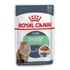 Royal canin Digest Sensitive Care 85g Nat Kattenvoer 12 Eenheden