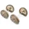Korum Feeder Large Combi Caps