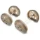 Korum Feeder Medium Combi Caps