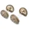 Korum Feeder River Combi Caps
