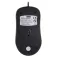 Activejet AMY-146 mouse