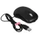 Activejet AMY-146 mouse