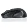 Ibox Mouse wireless ambidestro i005