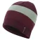 Montane Jack Beanie