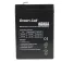 Green cell AGM01 Car Battery