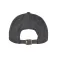 Flexfit Boné Classics Dad Recycled Polyester