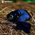 Hikmicro Gryphon GH25L Thermal Monocle