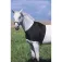 Equitheme Brystbeskytter