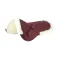 Equitheme Pro Air halve pad
