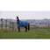 Equitheme Protector de coll Tyrex 600 D Polyfil 0g