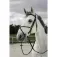 Riding world Cross Halfter