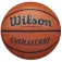 Wilson Evolution Indoor Game basketbal
