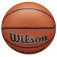 Wilson Evolution Indoor Game Basketball