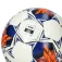 Select Master Grain FIFA Basic Master fotboll