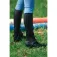 Equitheme Läder Halvchaps
