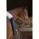 Equitheme Premium puolikkaat chapsit