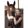 Equitheme Guants Strass