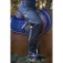 Equitheme Water Fuld chaps