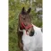Equitheme Cabrestro Nylon Adjustable