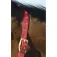 Equitheme Cabezada de cuadra Nylon Adjustable