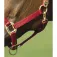 Equitheme Nylon Adjustable Χαλινάρι